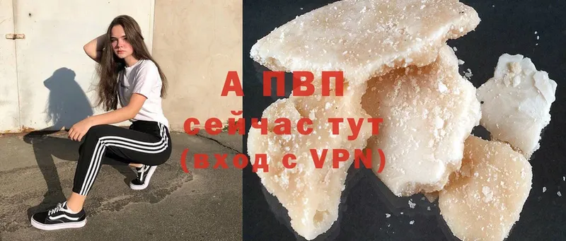 A PVP СК КРИС  Волхов 